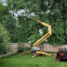  , WV Tree Services Pros